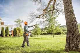 Best Aeration Services  in Fearrington Village, NC